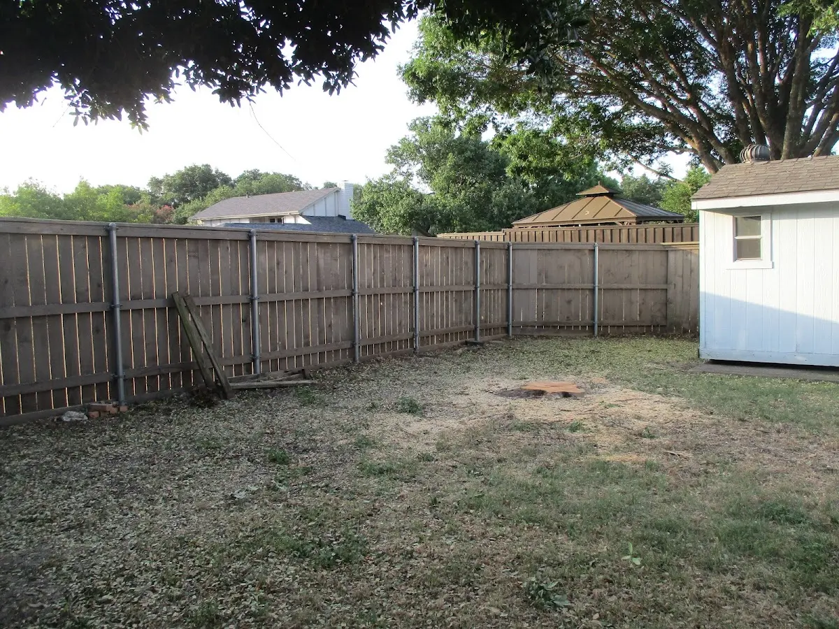 Cleared yard after professional tree removal in Hauula